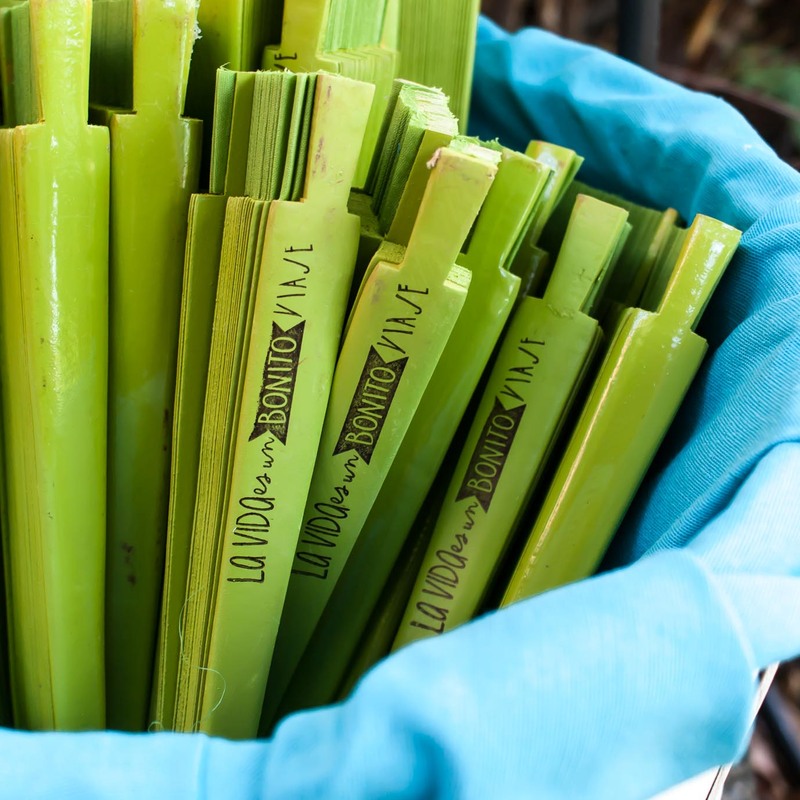 Boda viaje  - Soporte y cartelería para los obsequios para los invitados. Original córner con frases divertidas. 