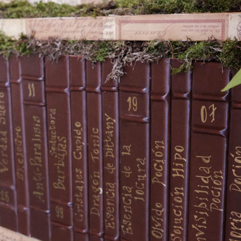 Boda Harry Potter - Seating plan original donde los invitados interactúan buscando una carta para conocer si serán admitidos en la Escuela de magia de la pareja. 